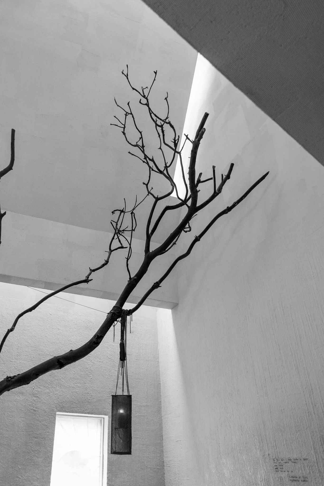 Website (9 of 144).jpg