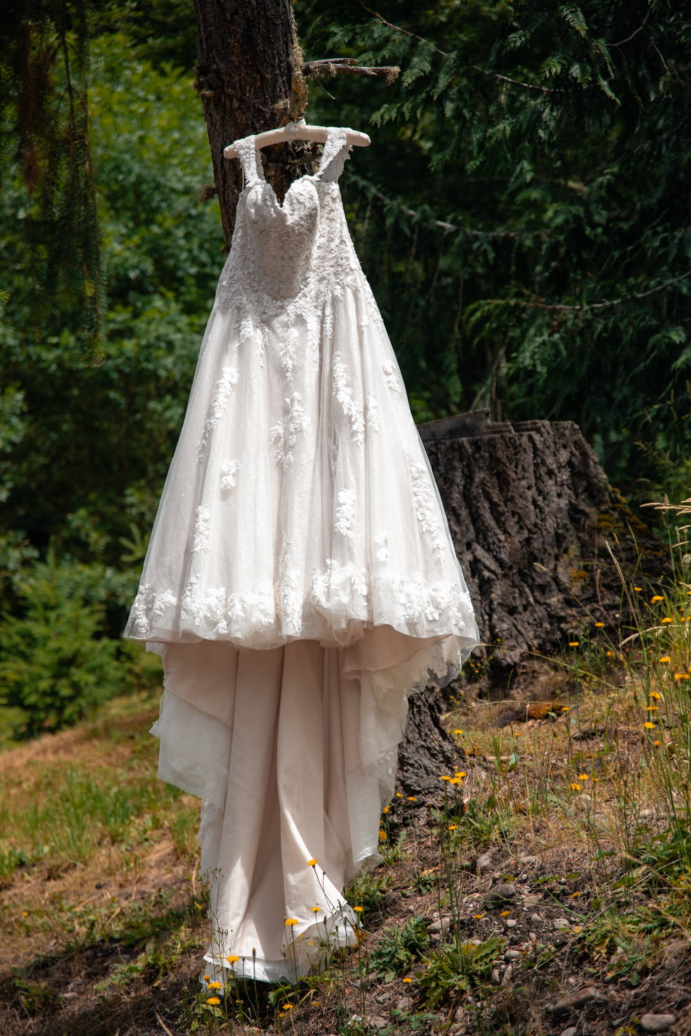 Lauren&Brandon (6 of 248).jpg