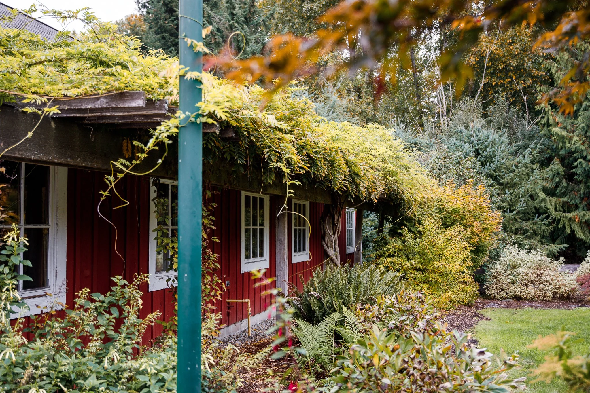 Sam&Mitchell2 (10 of 19).jpg