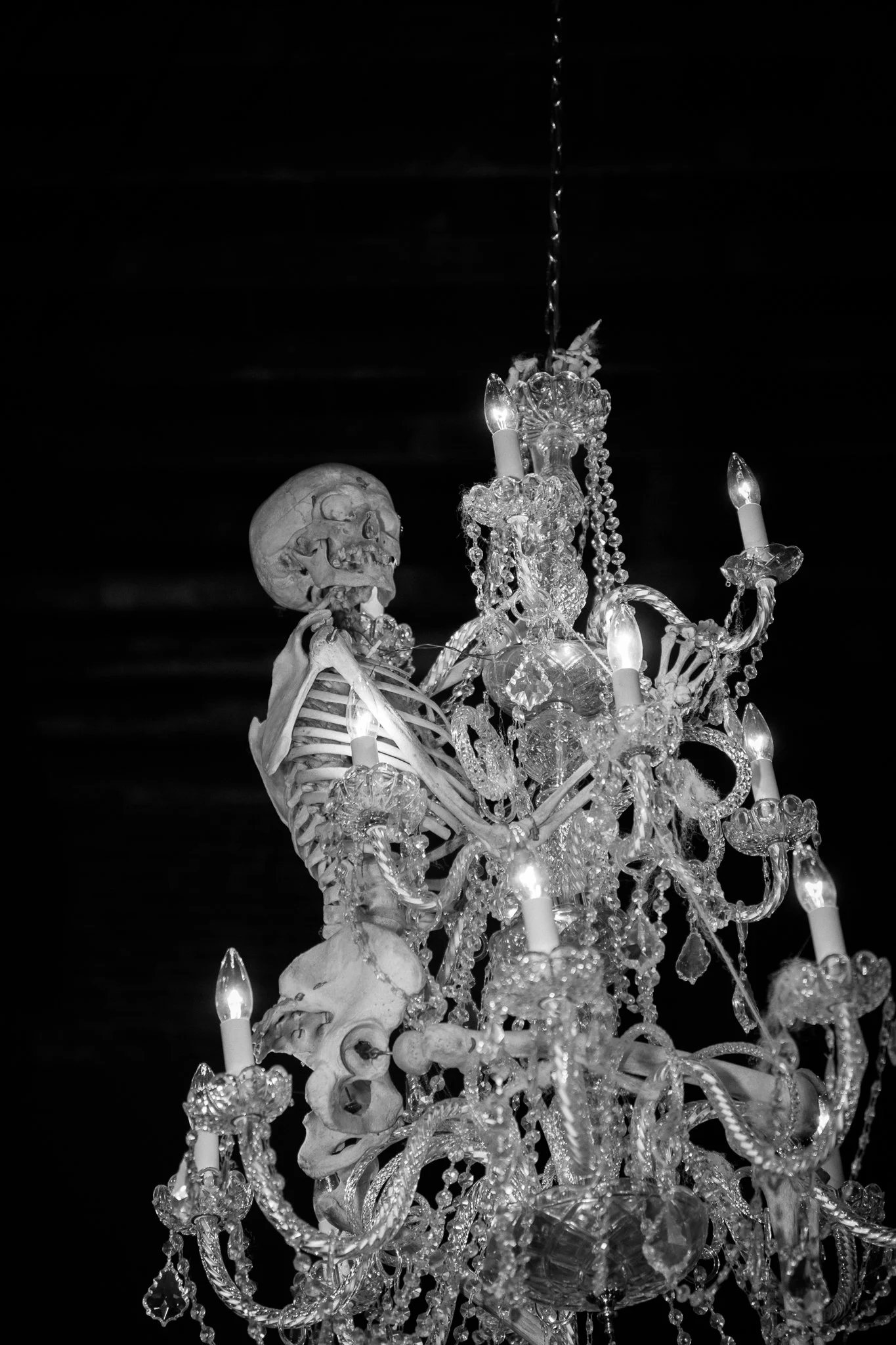 Laurne&Mathew (2 of 176).jpg