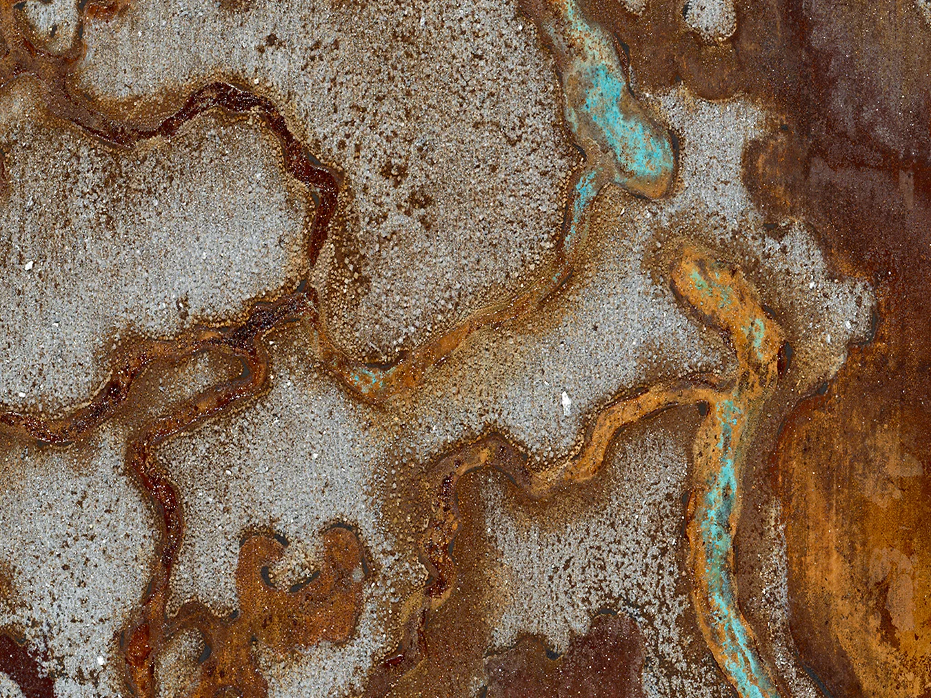 TTA003_28x22_PAM_Detail4-3.jpg