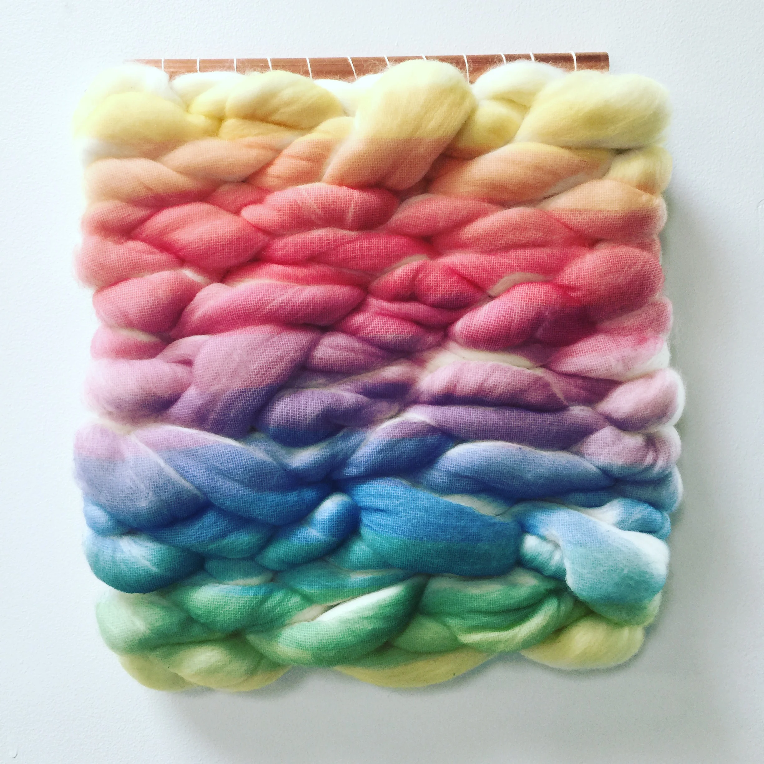 2017 Meghan Shimek 2.JPG