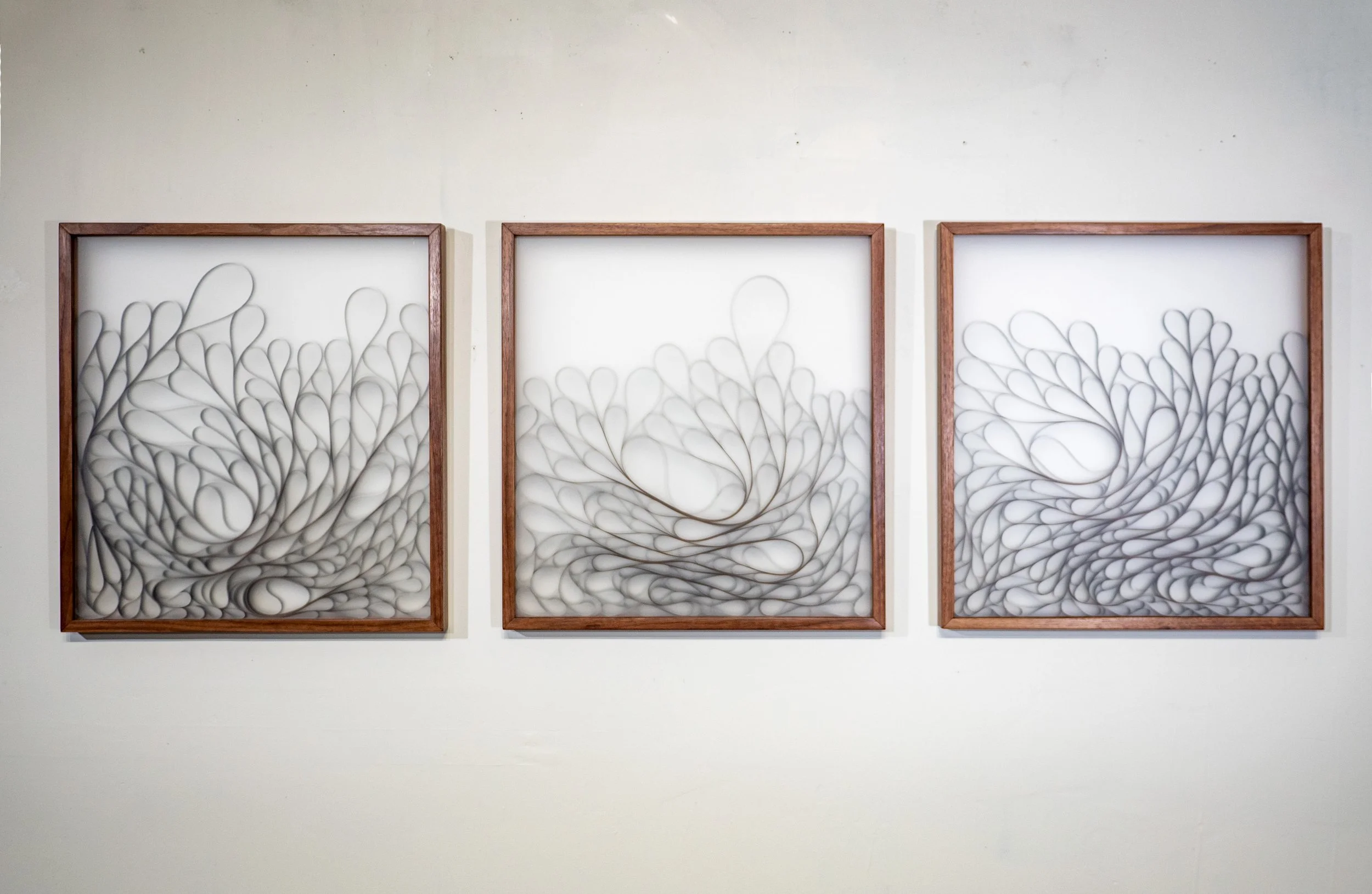 Film Reels Walnut A.jpeg