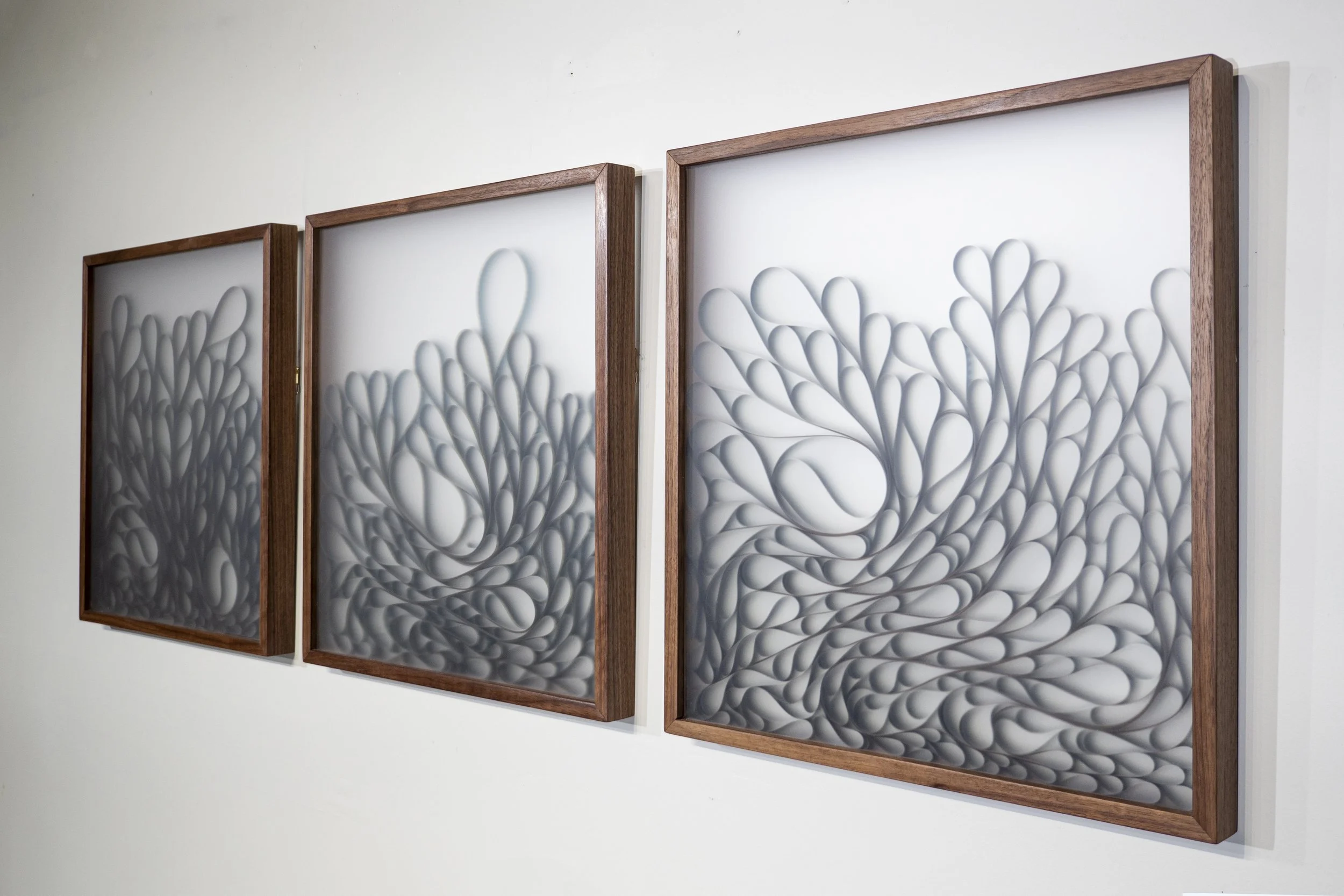 Film Reels Walnut.jpeg