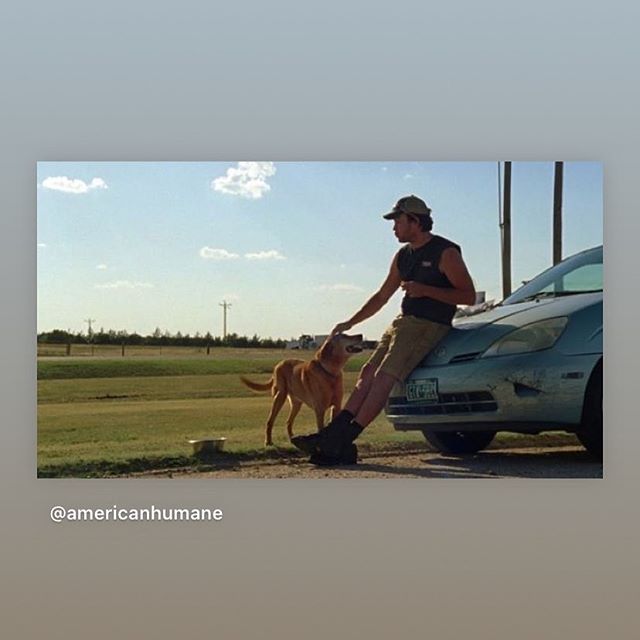 Loving the shout out from @americanhumane! With gratitude for support making the film #americanhumane #sagaftra  #sagaftrafoundation #indiefilm #dogmovies