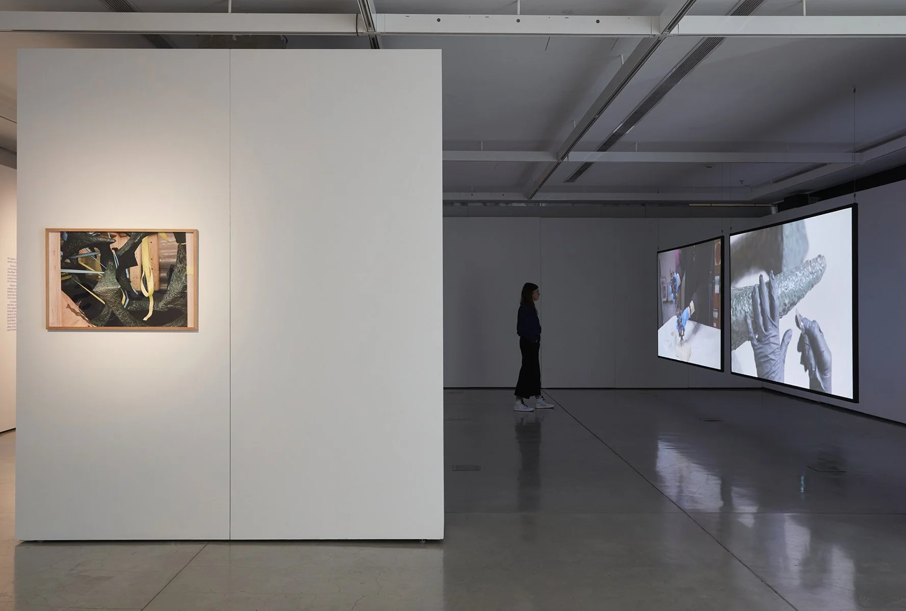 UTSGalleryDianaBakerSmith-022.jpg