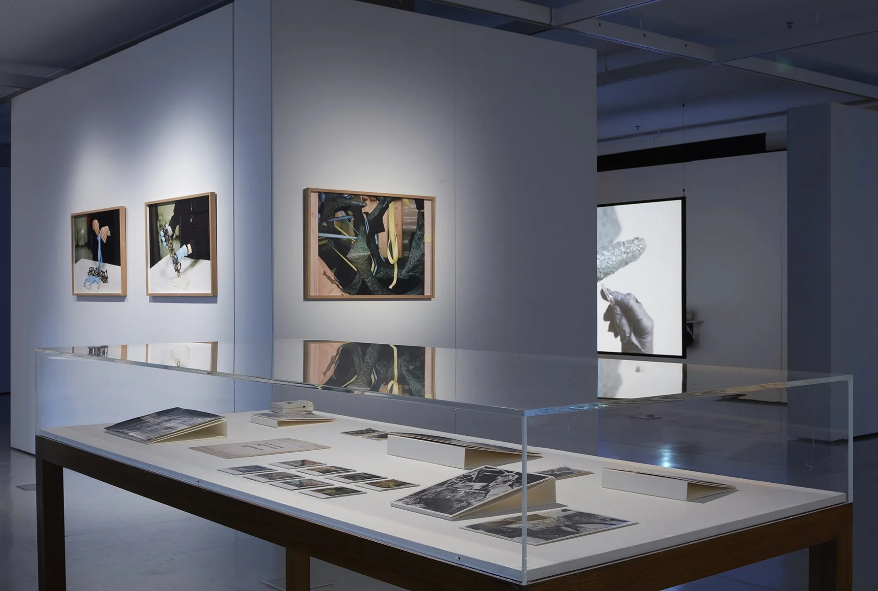 UTSGalleryDianaBakerSmith-026.jpg