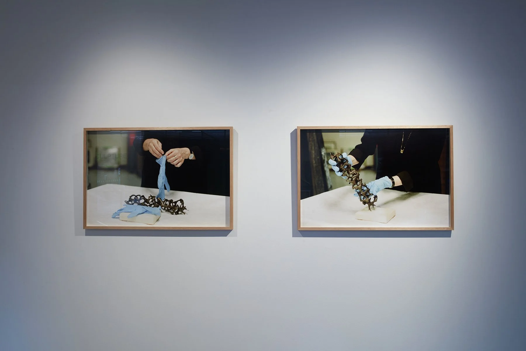 UTSGalleryDianaBakerSmith-003.jpg