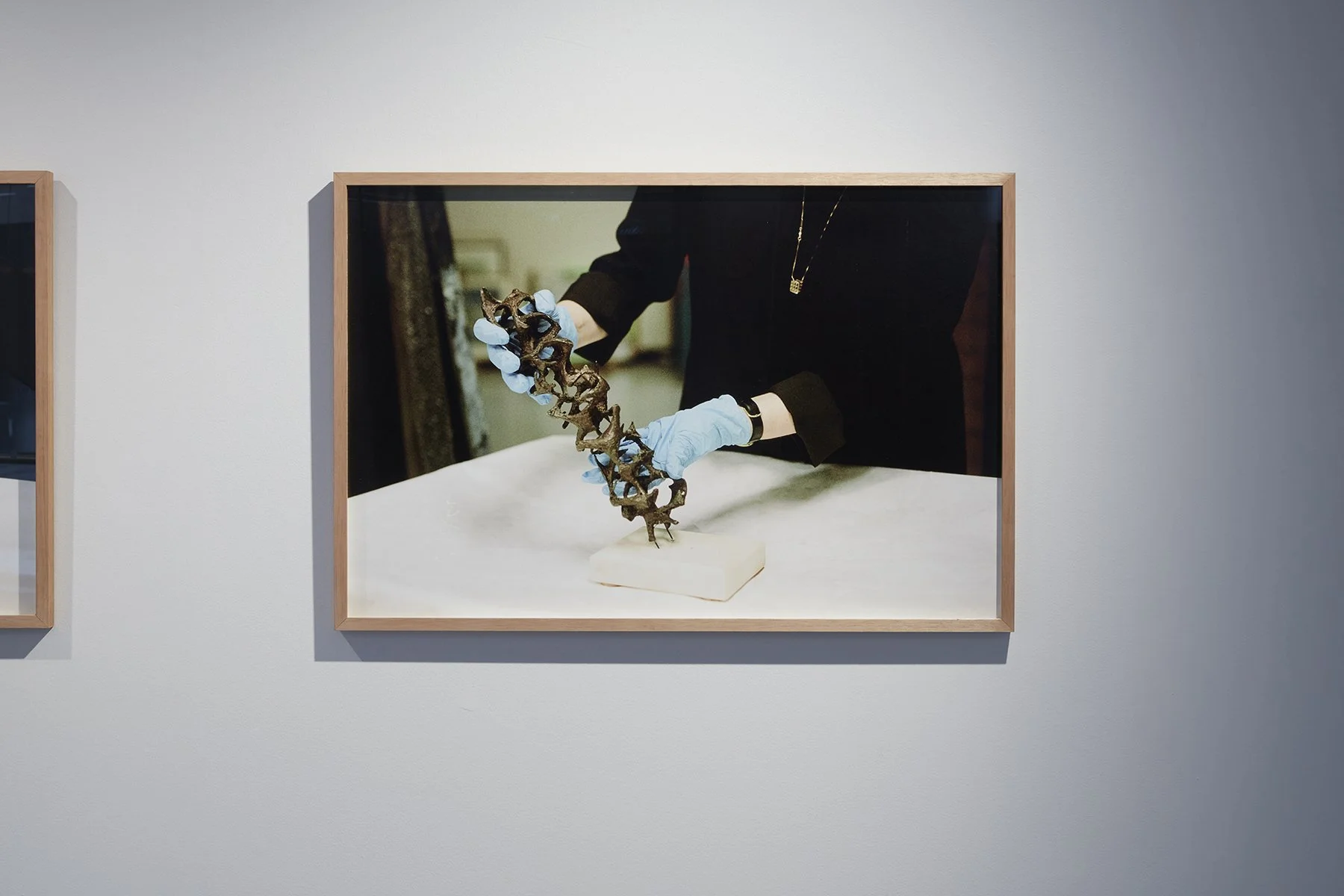 UTSGalleryDianaBakerSmith-005.jpg