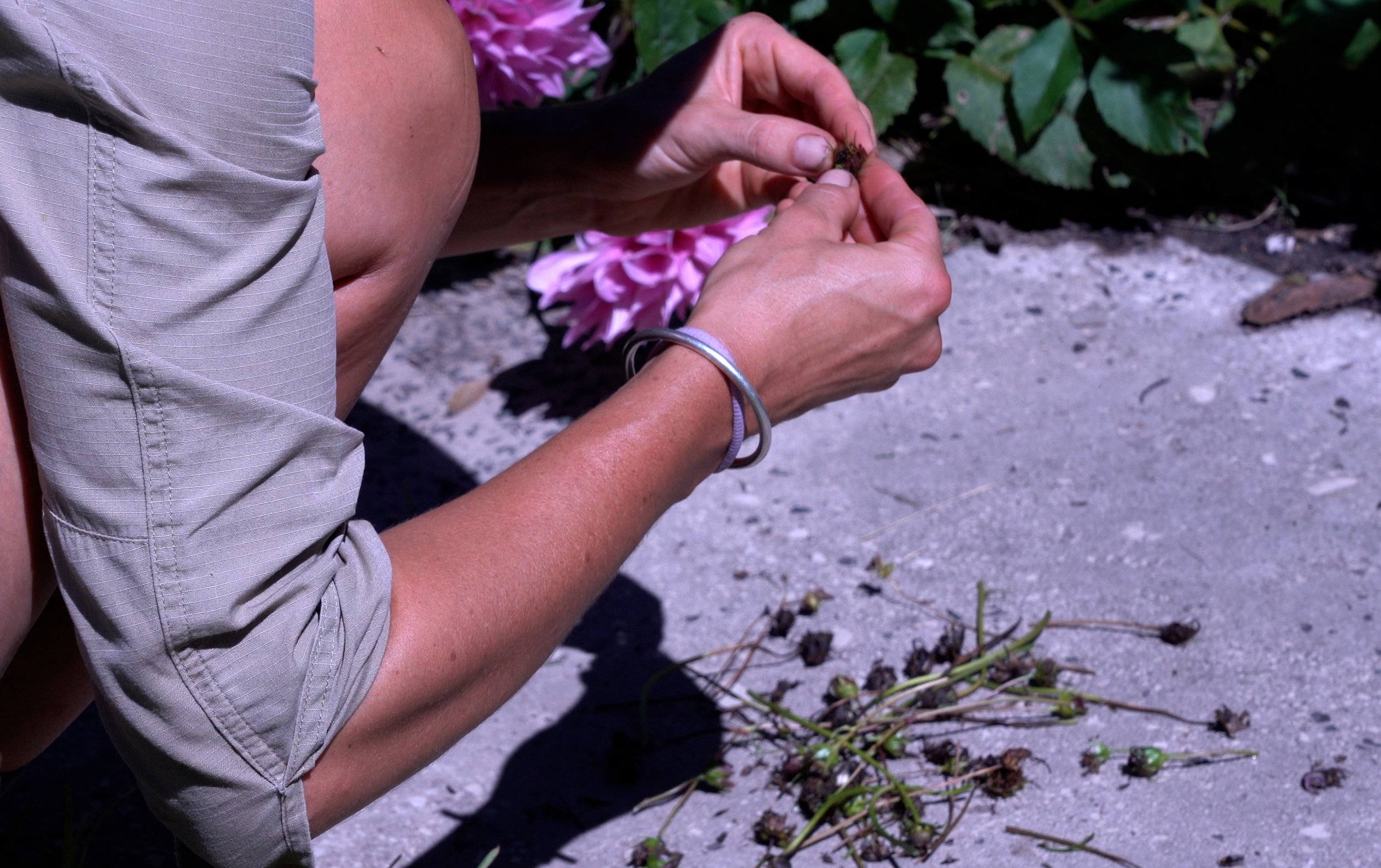 APRIL RC.00_00_04_16.Still005.jpg