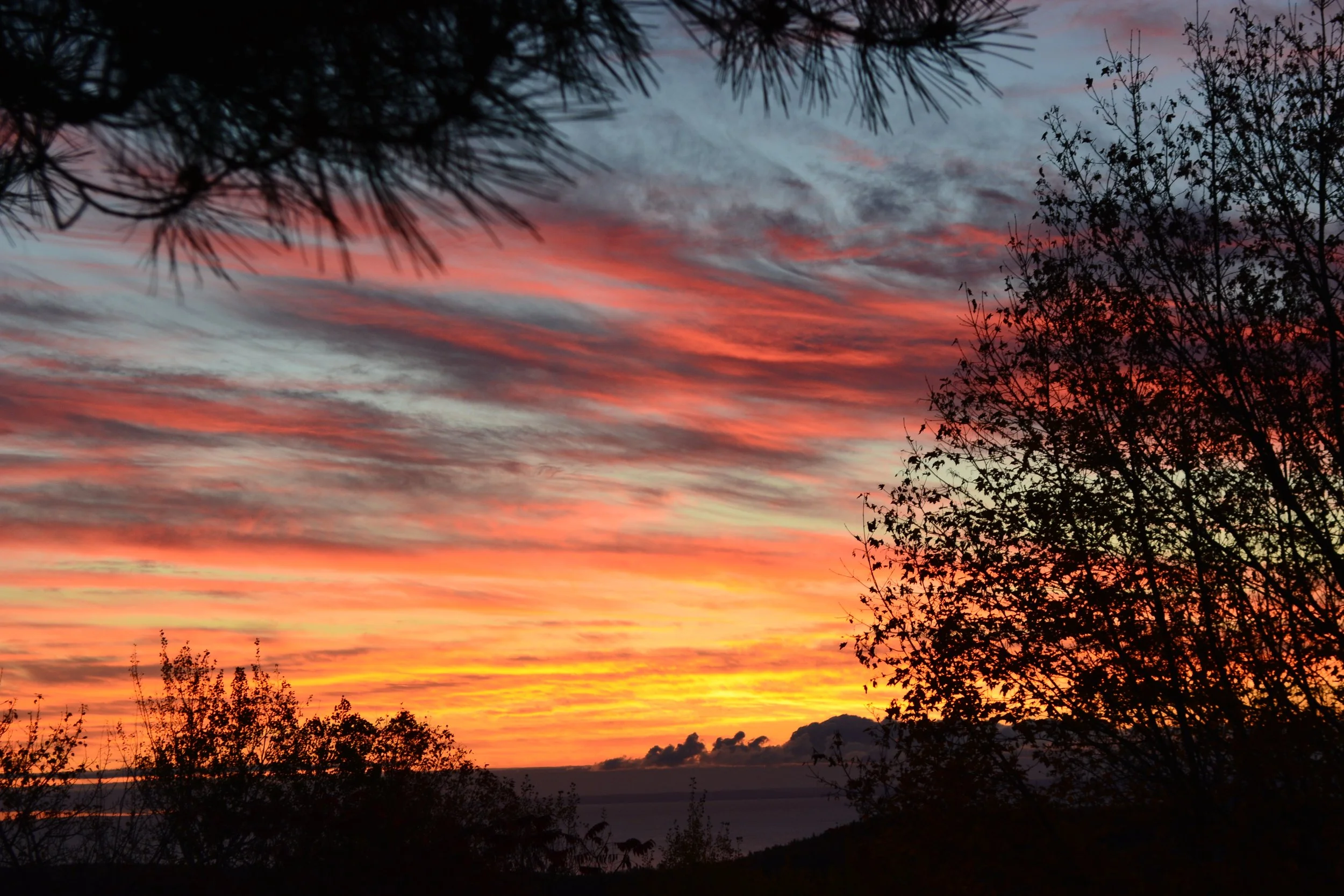 DSC_0244.JPG