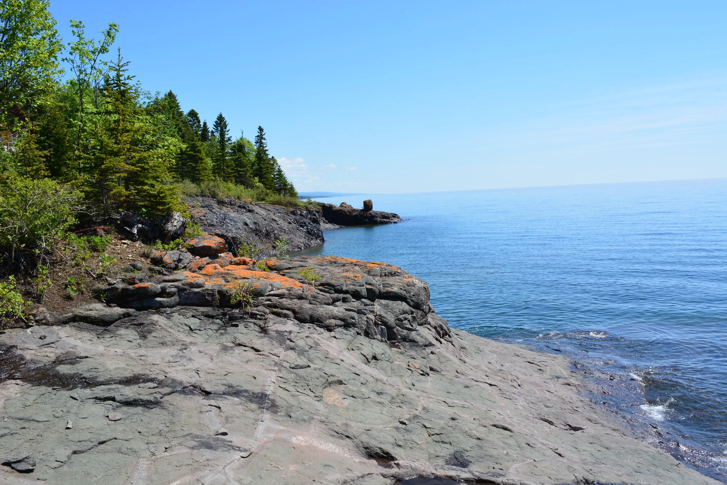 DSC_0519.JPG