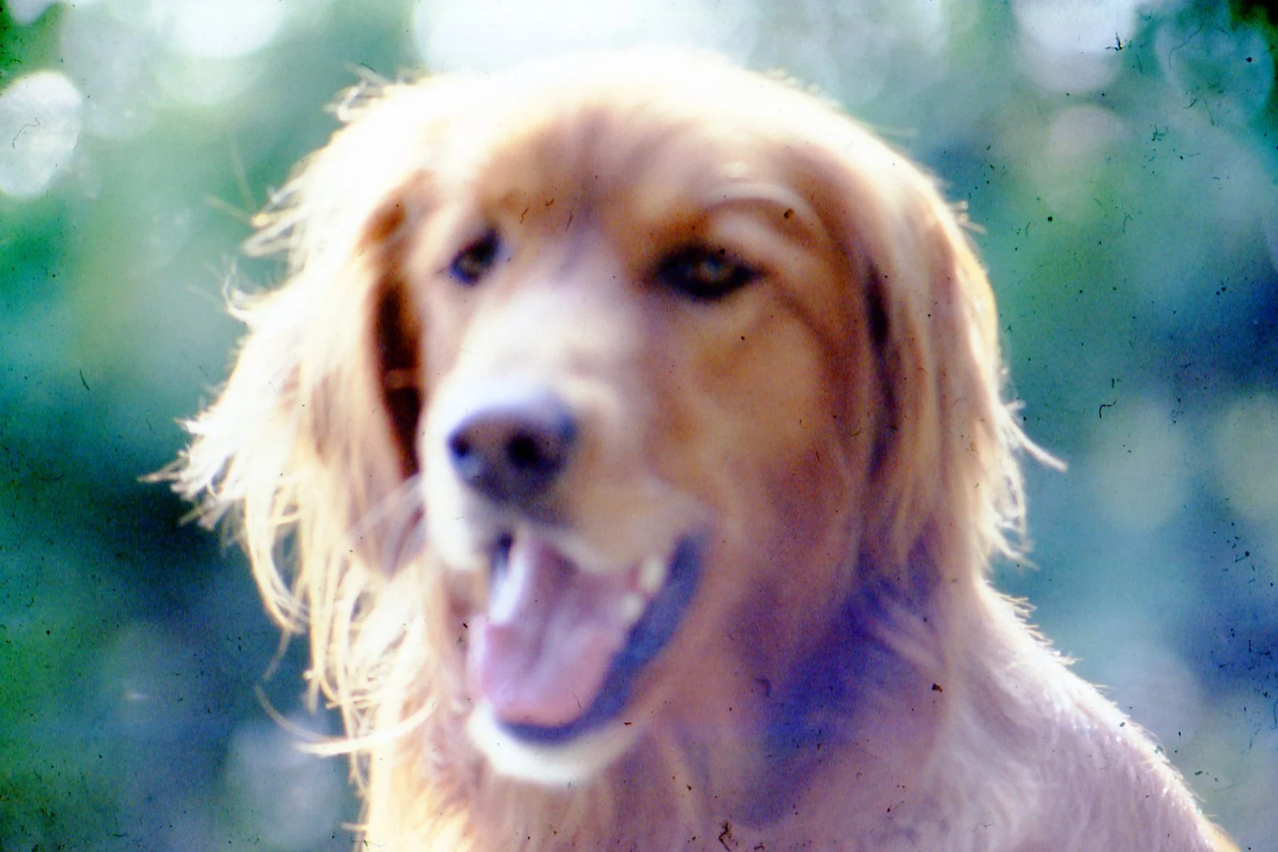 img234.jpg