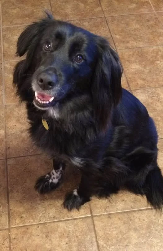 Luna.jpg