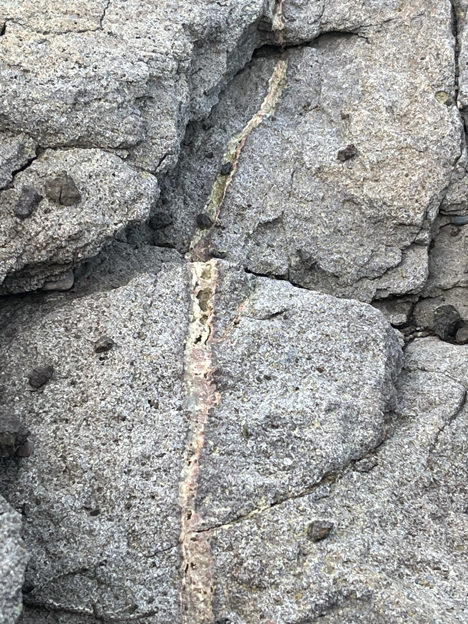IMG_7426 (1).JPEG