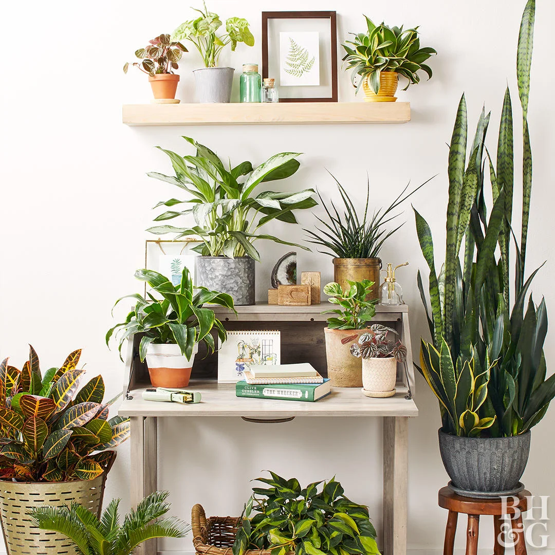modern indoor plant stands Modern Solid Wood Plant Stand + Pot main image 1