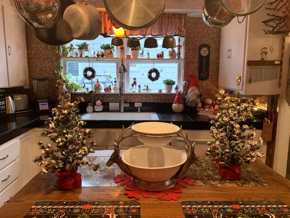 Kitchen view from island.jpg