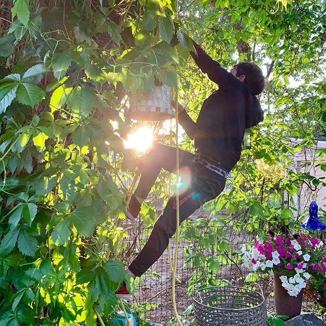 3 Squares Cottage new tree house- rope ladder access only.  #thecrowsnest