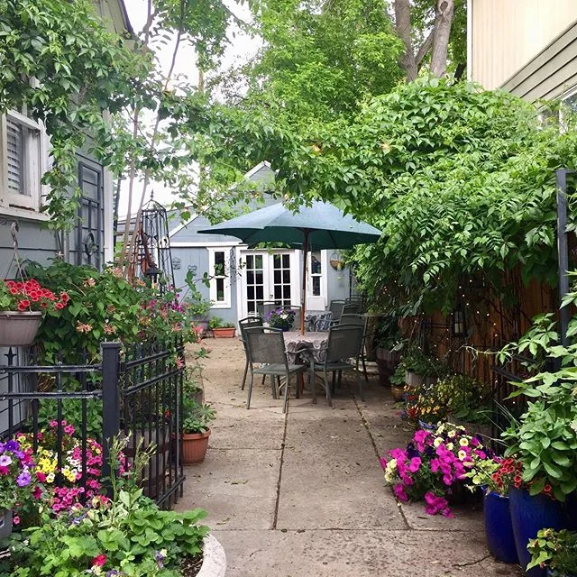 Things are really heating up at 3 Squares Cottage.  We have a busy summer and have already had some wonderful guests, and many more to come! After such a wet spring, the gardens are finally all in, and we will be wrapping up on the patio/family room 