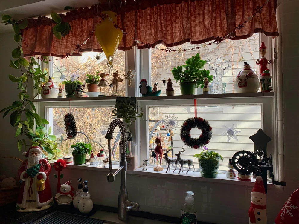 Kitchen window.jpeg