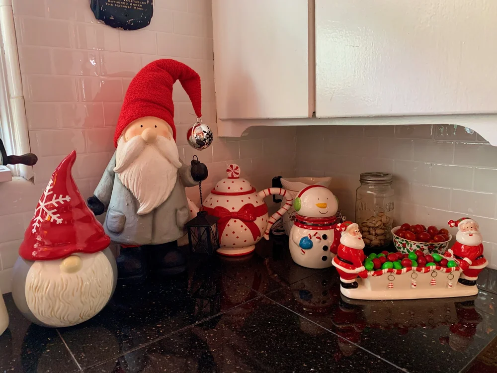 Kitchen counter- gnomes.jpeg