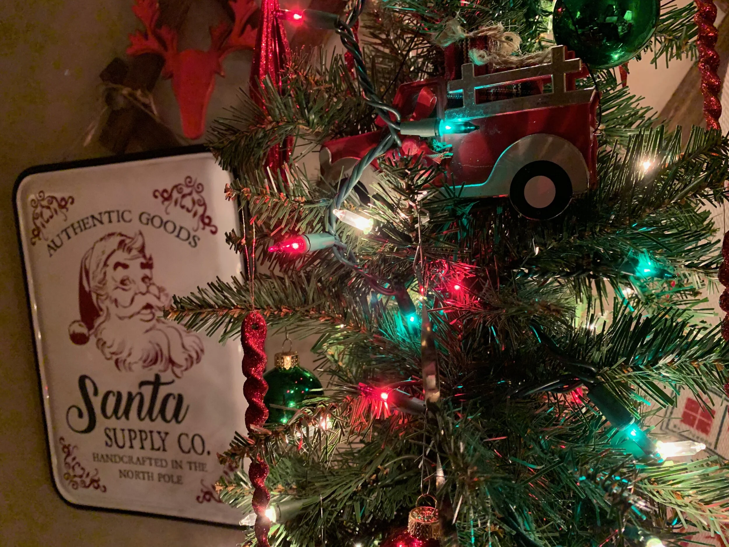 7 Guest room tree upclose.jpeg