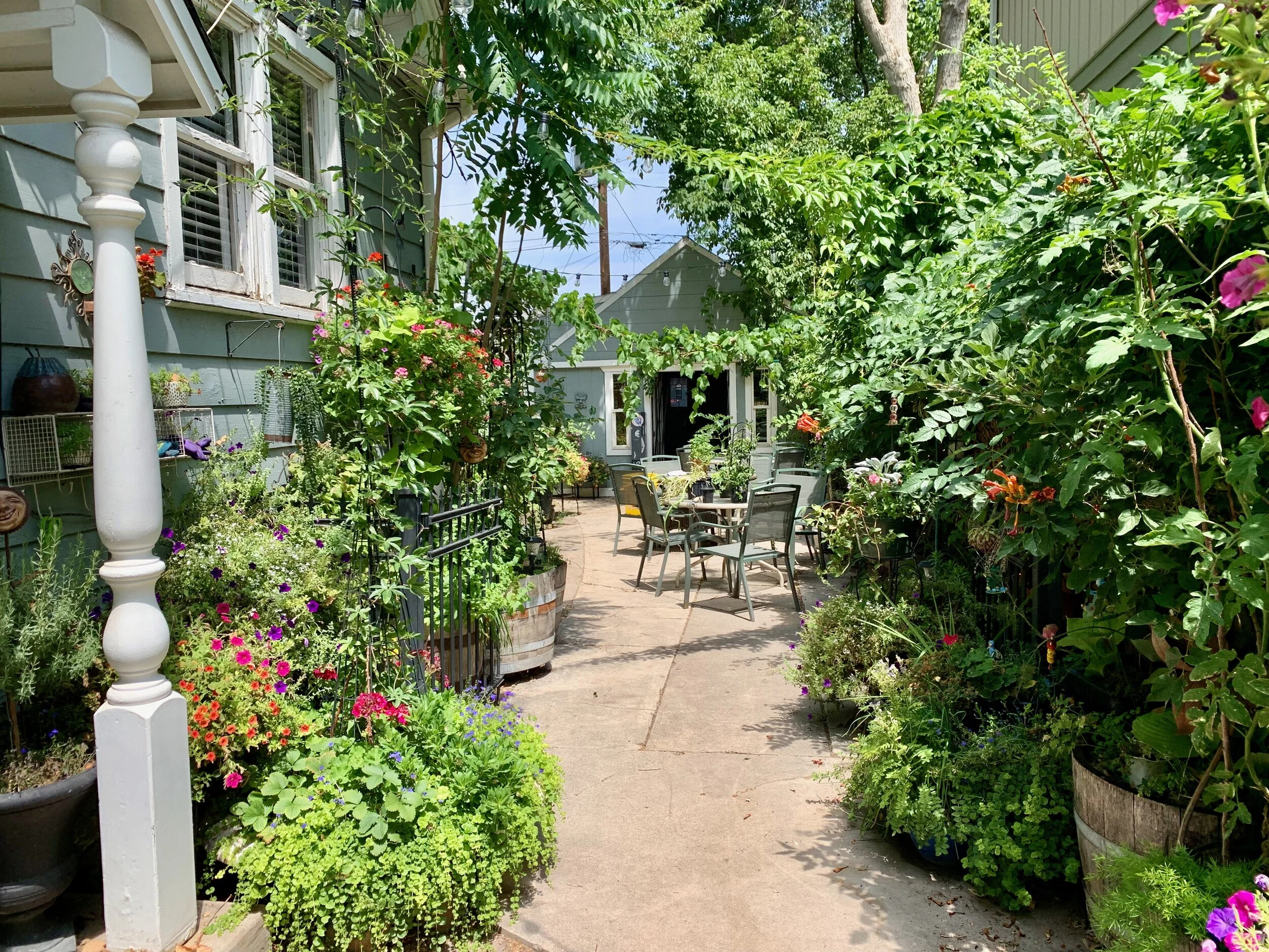 2021 back yard wide.jpeg