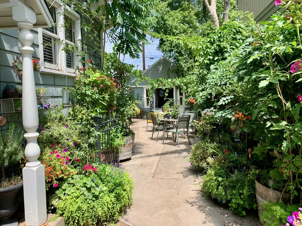 2021 back yard wide.jpeg