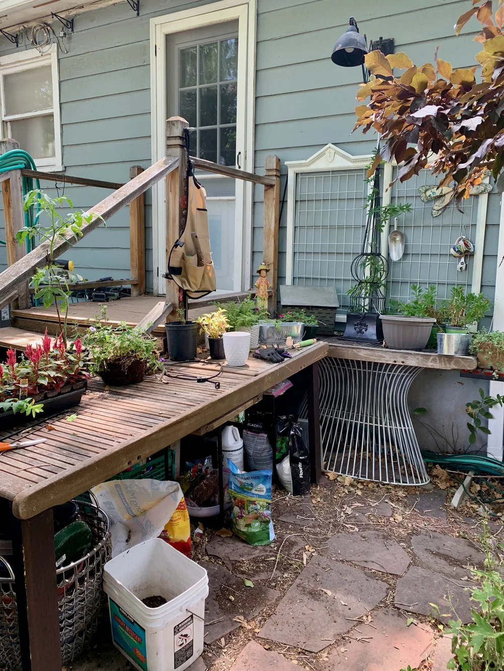 2021 new potting station.jpeg