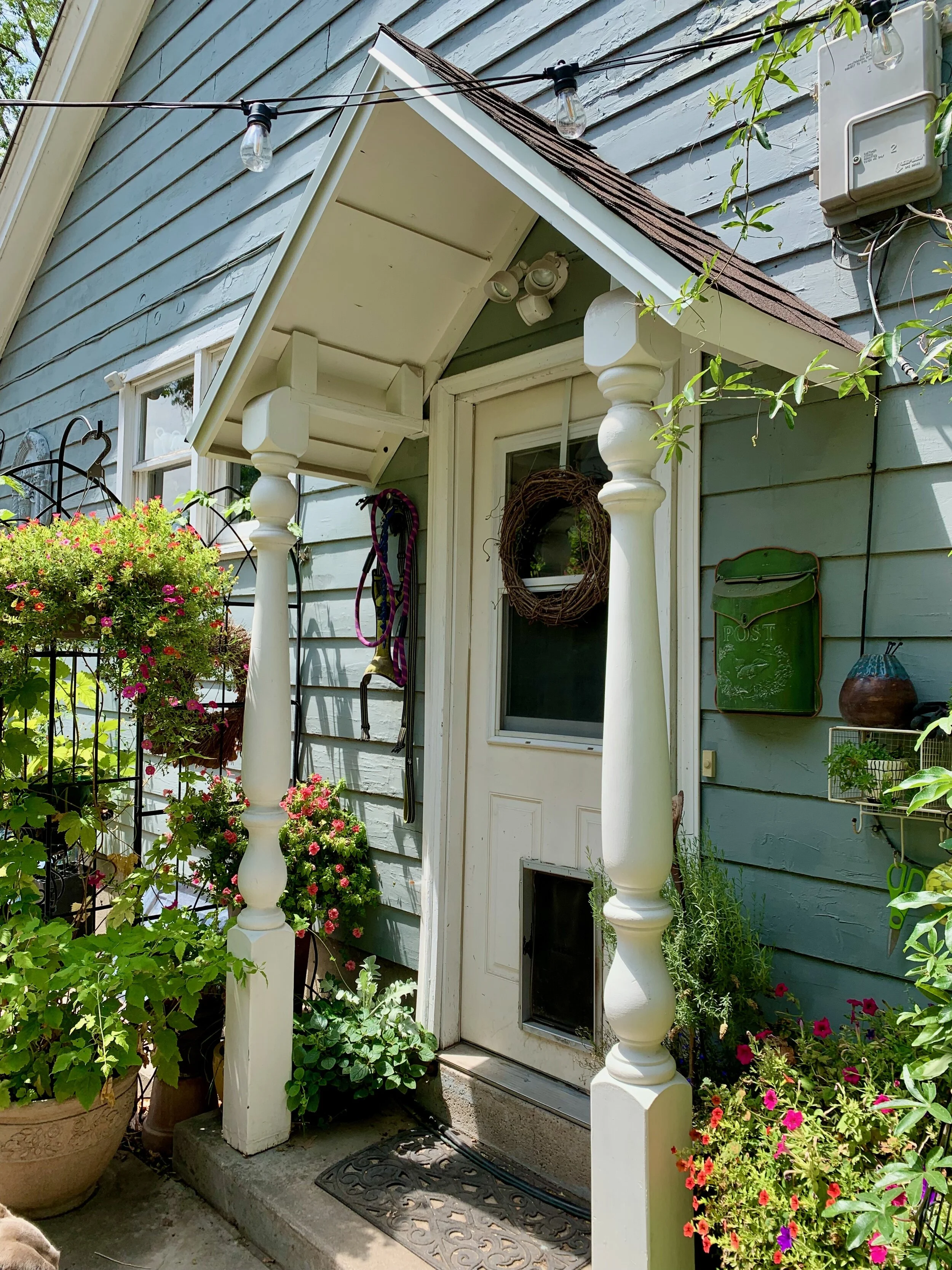 Summer 2021: What's new around 3 Squares Cottage?