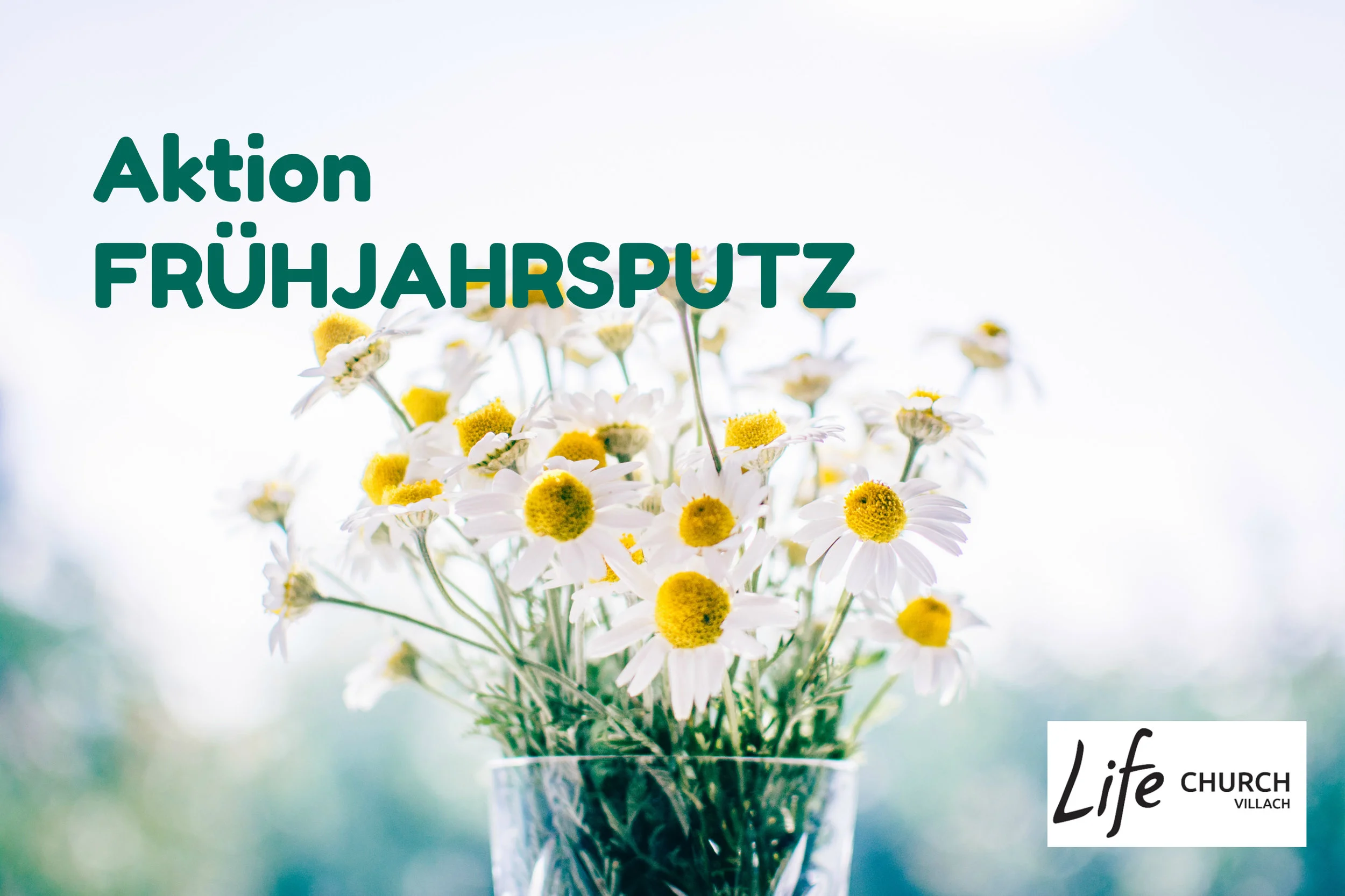 Frühjahrsputz