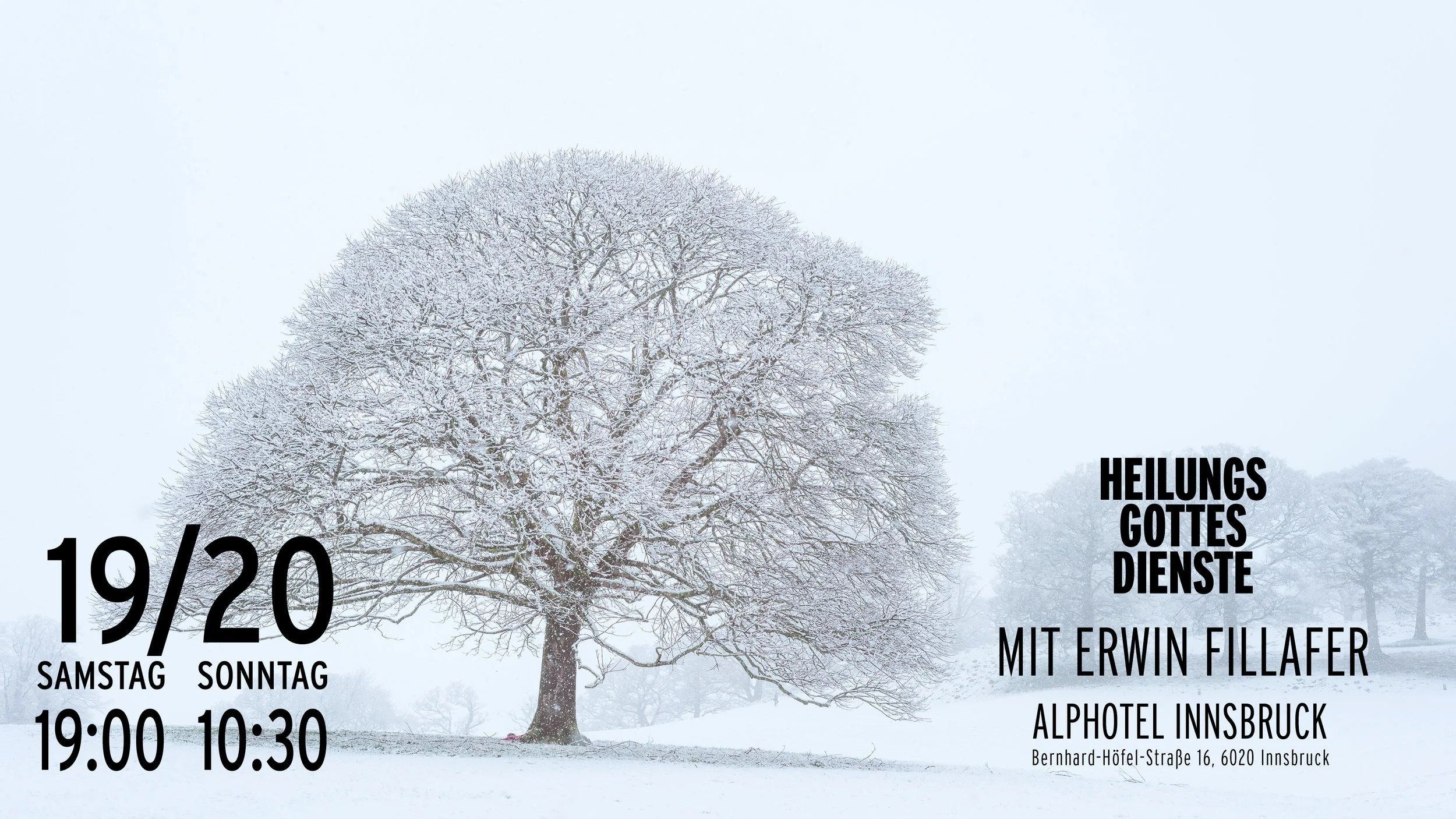 Vortrag über Heilung mit Erwin Fillafer