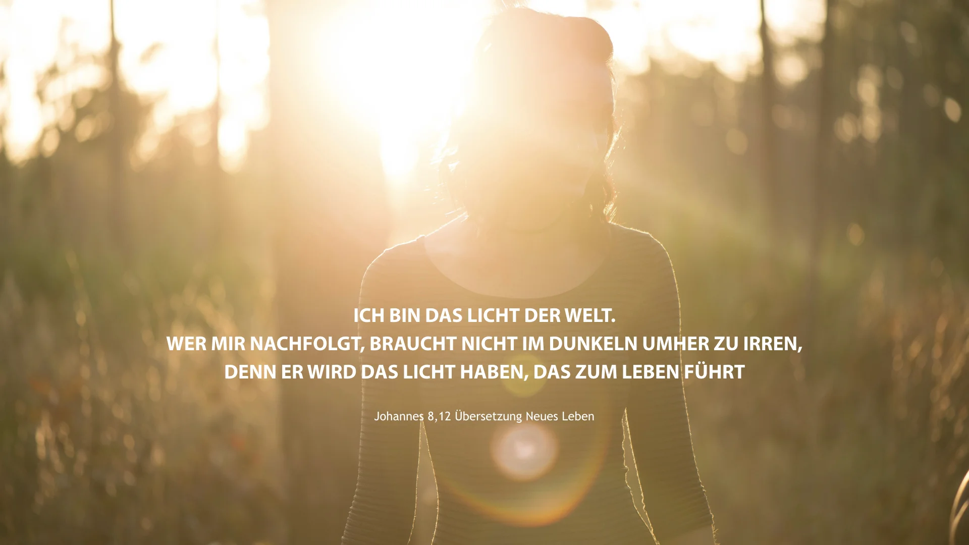 Das Licht der Veränderung