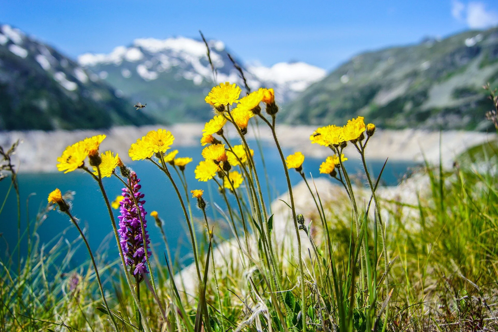 LIFE Group - Gemeinsam Wandern