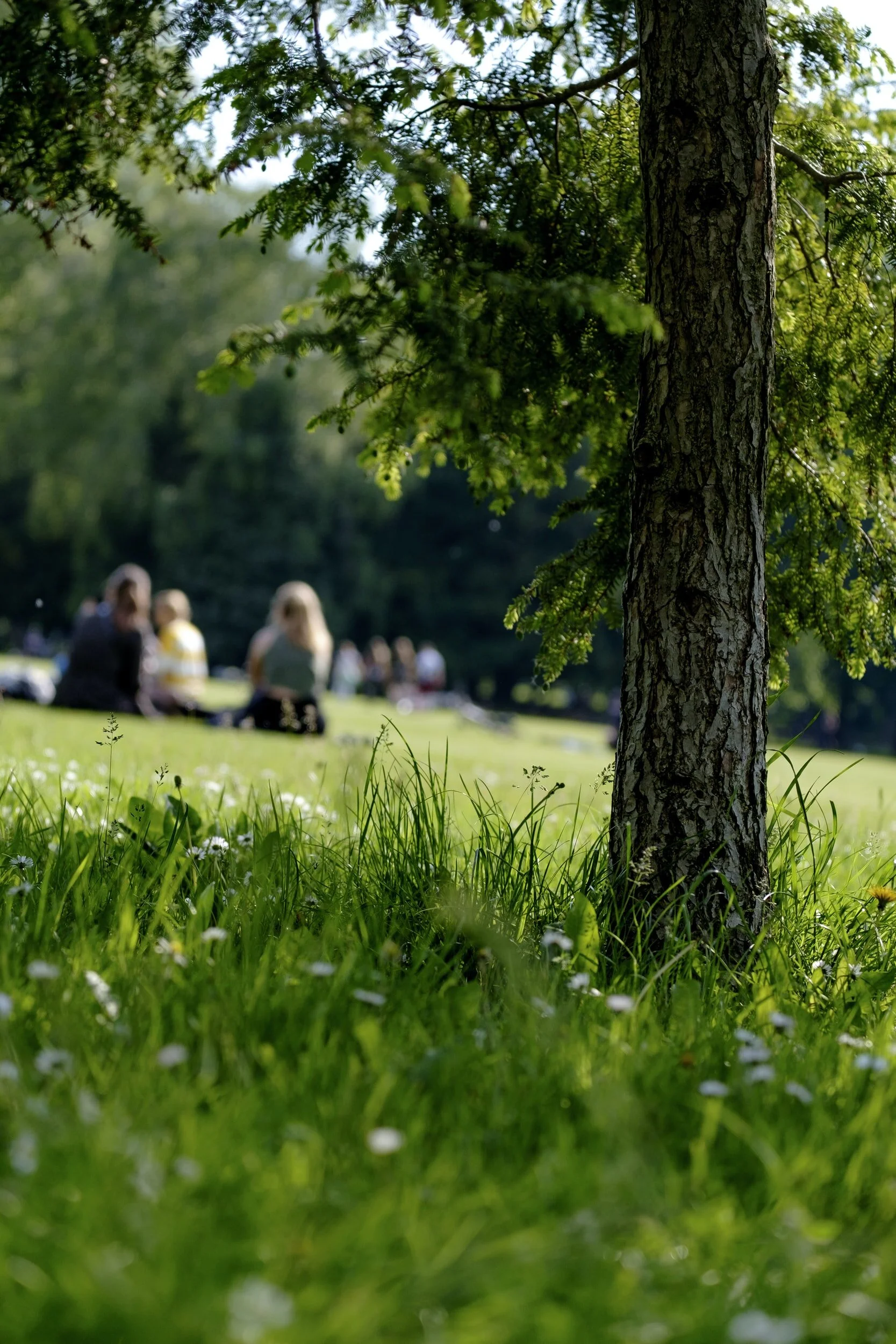 Gemeinschafts - Nachmittag
