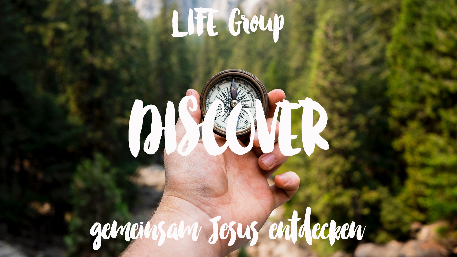 DISCOVER - LIFE Group