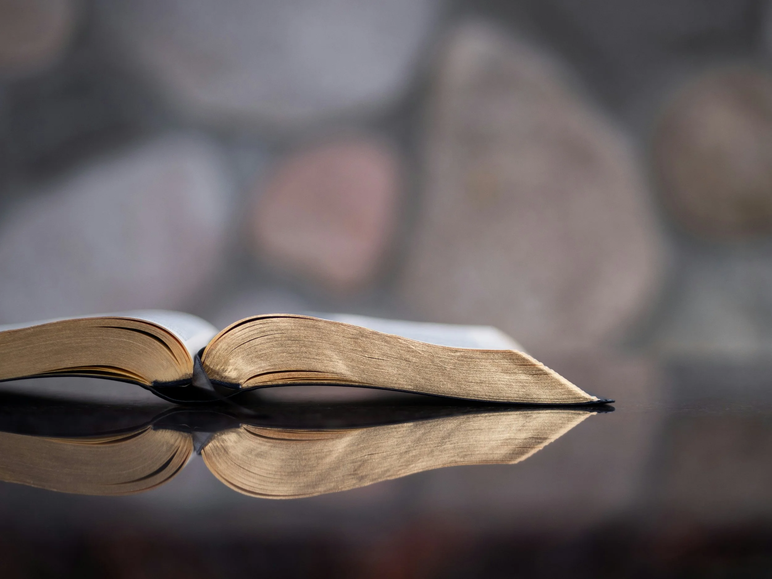 Gottesdienst: Herzlich Wilkommen!