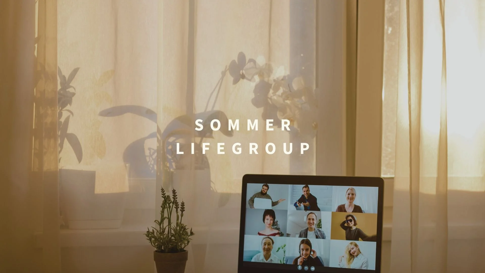Sommer LIFE Group