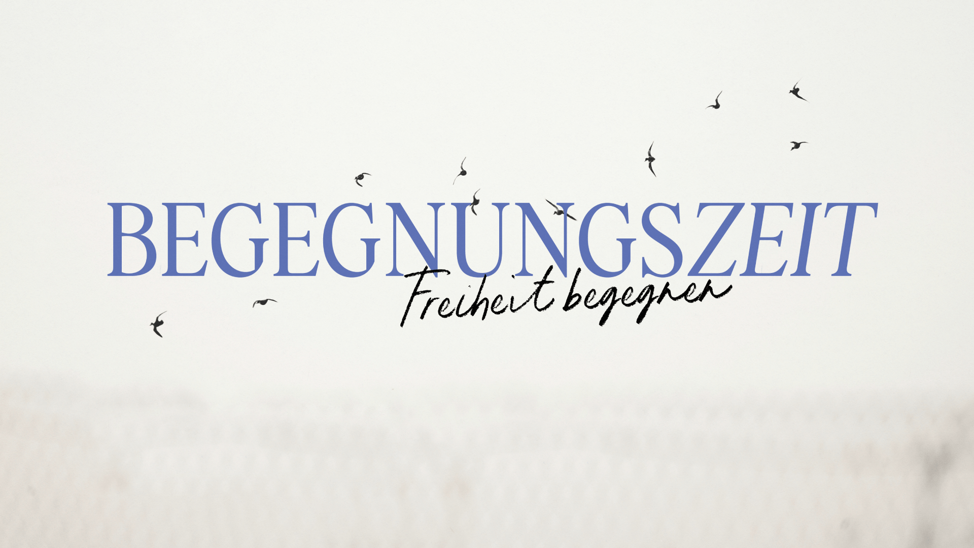Begegnungszeit: Freiheit begegnen