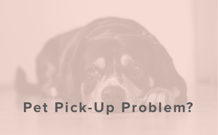 (#121) PET PICK-UP PROBLEM? 