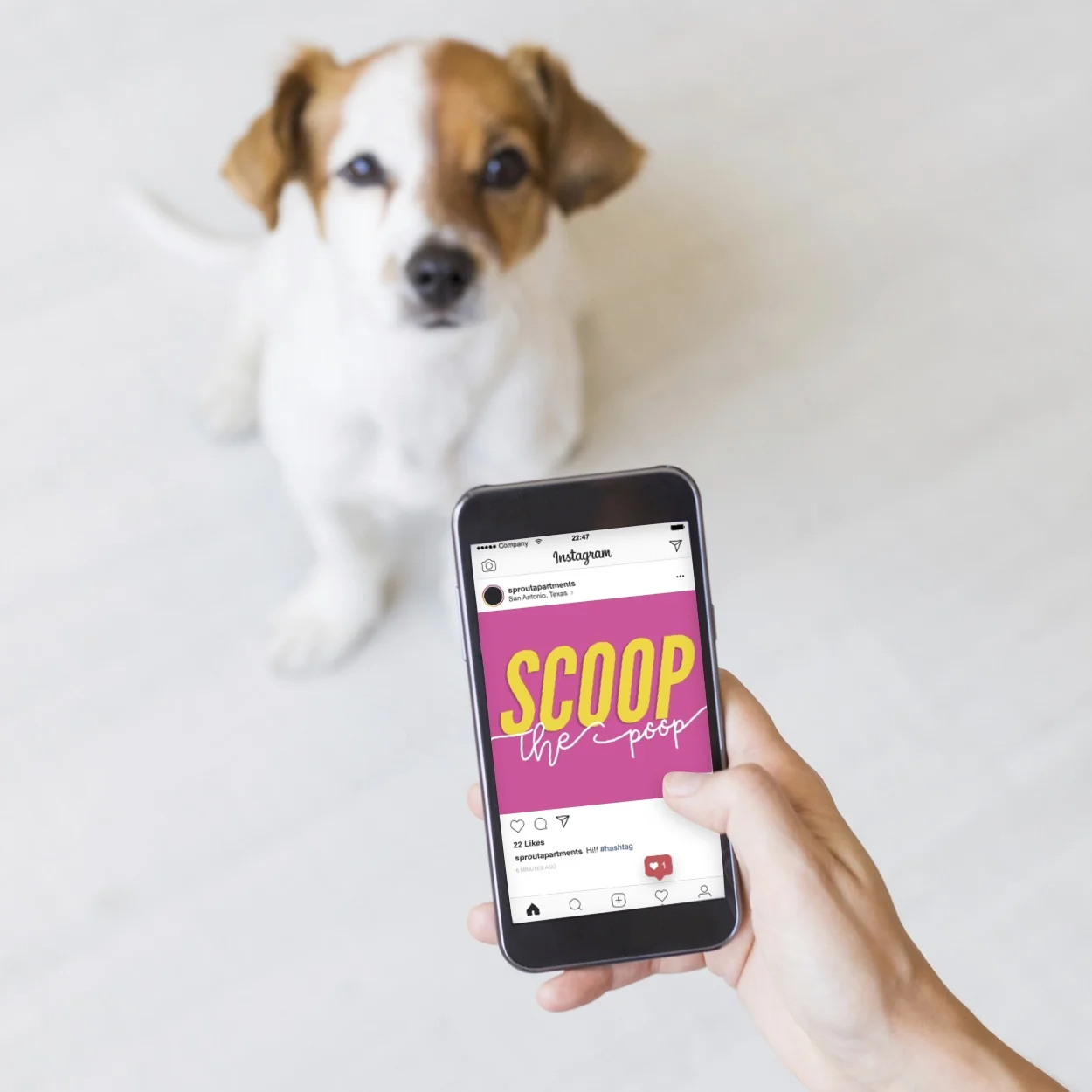 (#221) SCOOP THE POOP 💩 