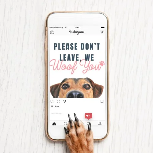 (#298) PET-THEMED RENEWALS