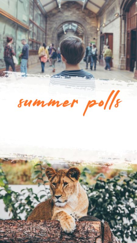 IGS266-IGStory Cool Summer FC Poll Zoo or Museum.jpg