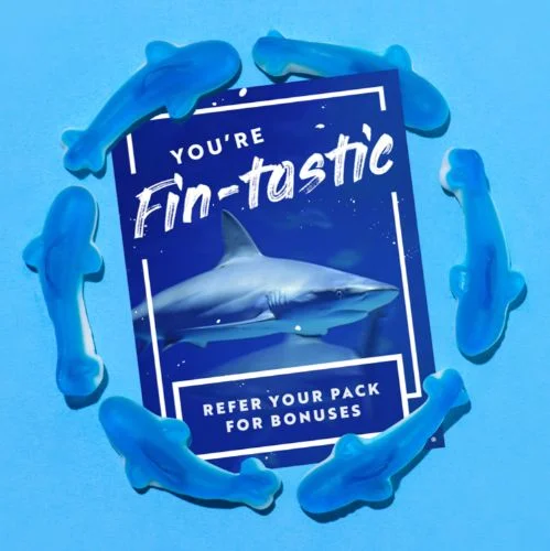 FIN-tastic Bonuses