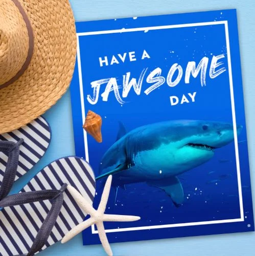 IG5353-July19 DD Shark FC Jawsome MOCK.jpg