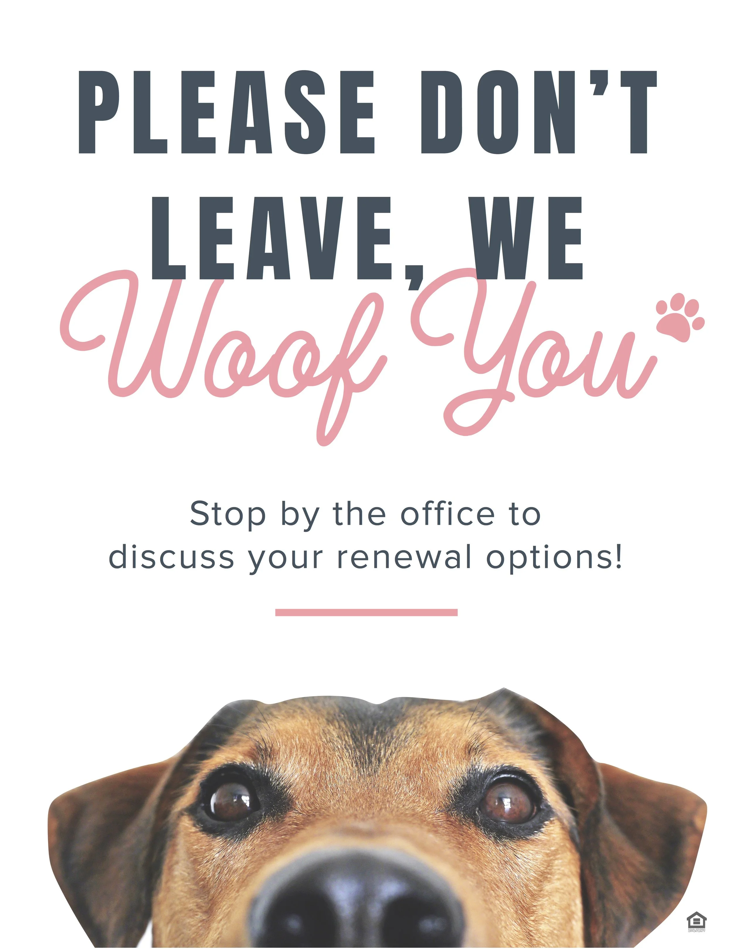 60878-Pet+Renew.jpg