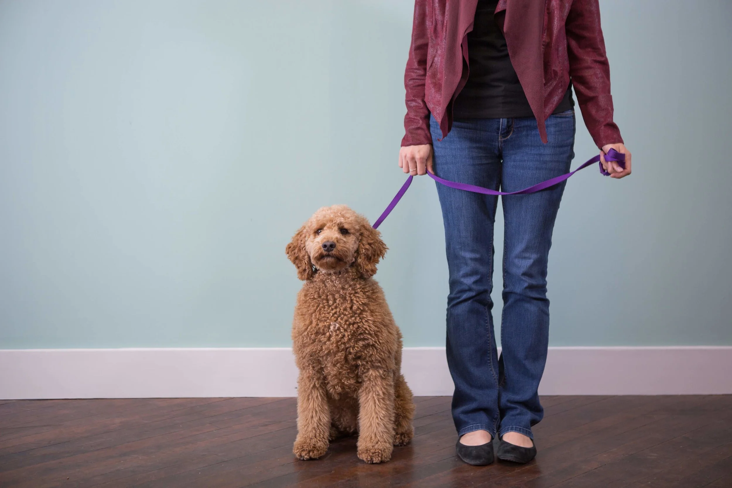 August 26th - #DogDay Search: DOG Is it just us or does it feel like every month there is a day dedicated to your pets… We can’t complain though, we do adore our little furry friends! We’re so lucky to have so many adorable and well-behaved pets at our community! Happy #DogDay to all the dogs here at ________ Apartments! Drop your pet’s name in the comments below.