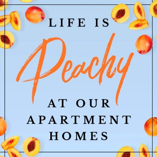 IG5544-Peachy Follow Up Digital Graphic.jpg