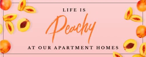 Download this email banner