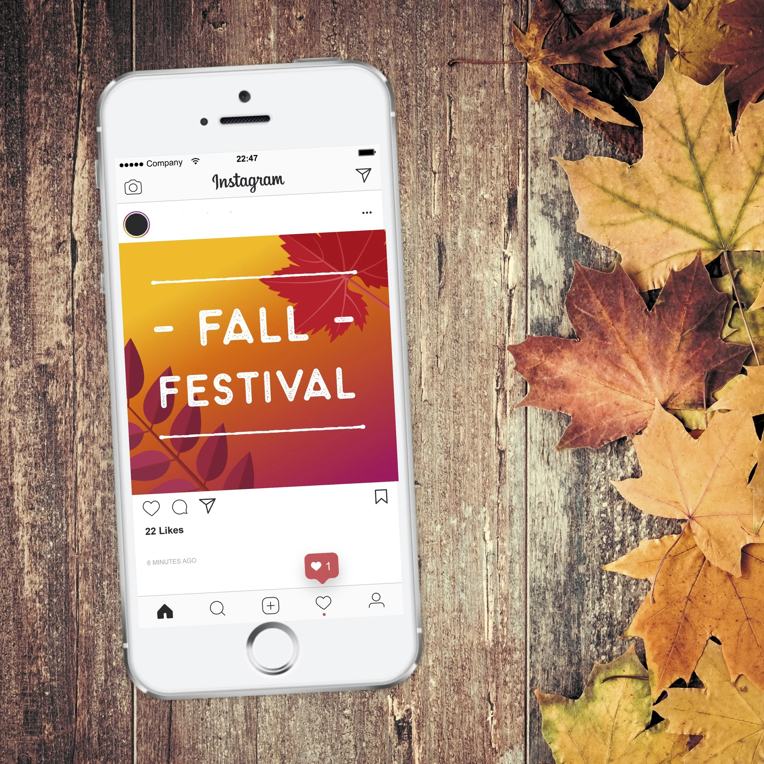 (#490) EVENT: FALL FESTIVAL